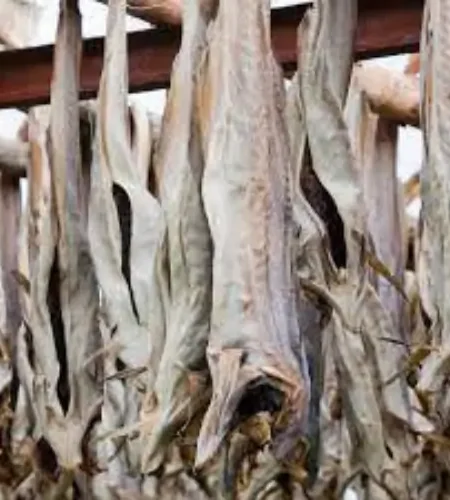 stockfish-cod